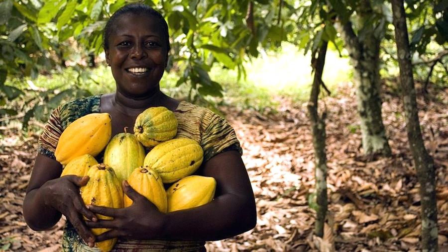 LES PREMIERS PAS VERS UN CHOCOLAT DURABLE