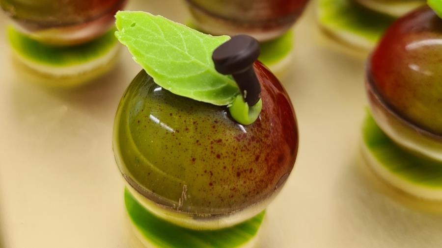 Victoire d'un étudiant de 16 ans avec une praline pomme