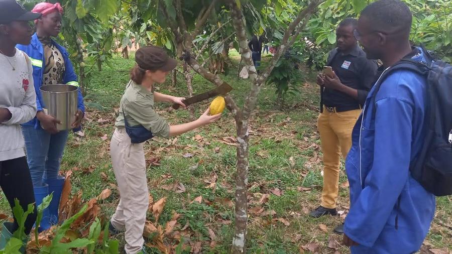 Un voyage au Cameroun permet aux étudiants de se confronter à la réalité
