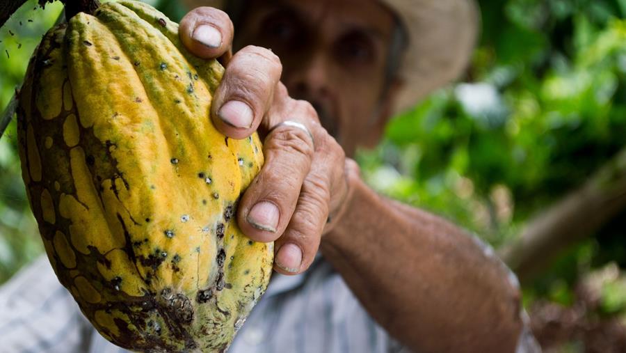 Beyond Chocolate pour un chocolat plus durable