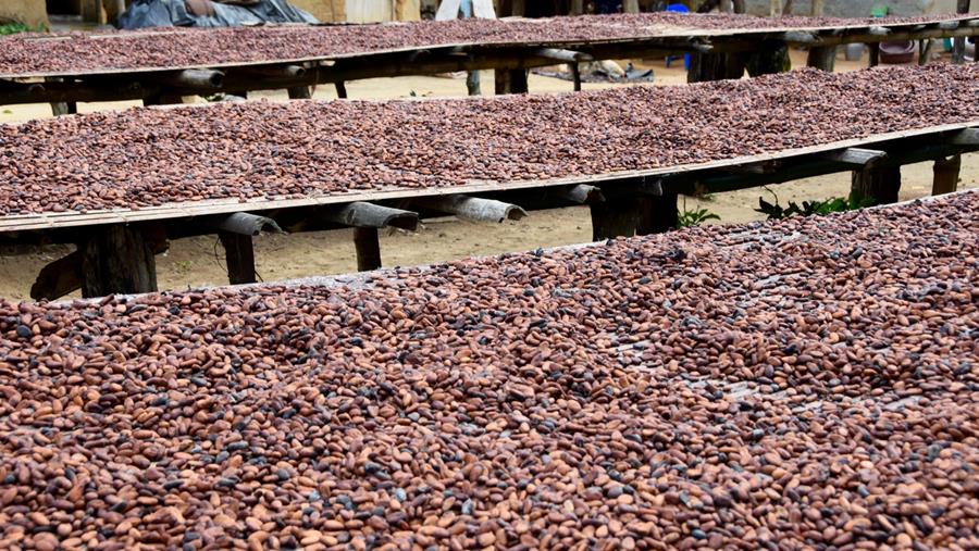 Nouvel engagement pour un cacao plus durable
