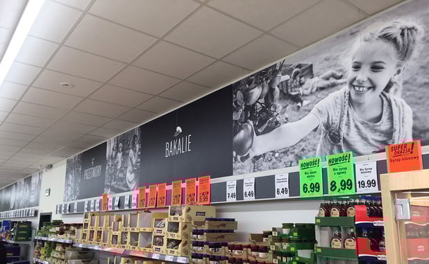 Le choix d'Igepa : Palight Revive