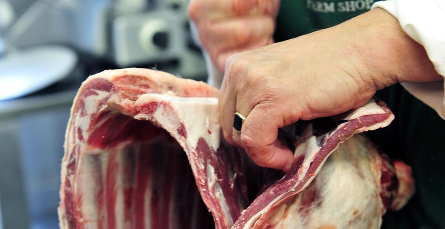 DOSSIER LA VIANDE DE L'AGNEAU