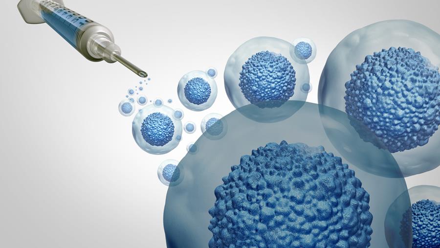 Meer dan 4.000 stamceltransplantaties